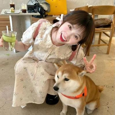无痛爱别离